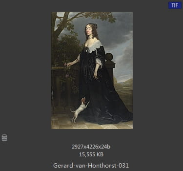 格里特.范.洪特霍斯特 Gerrit van Honthorst