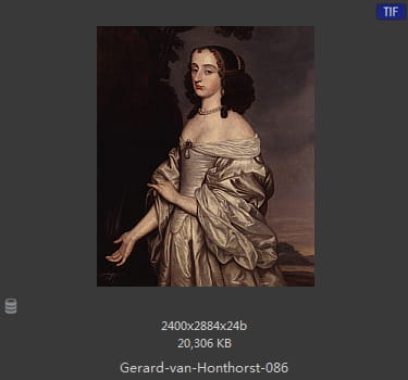 格里特.范.洪特霍斯特 Gerrit van Honthorst