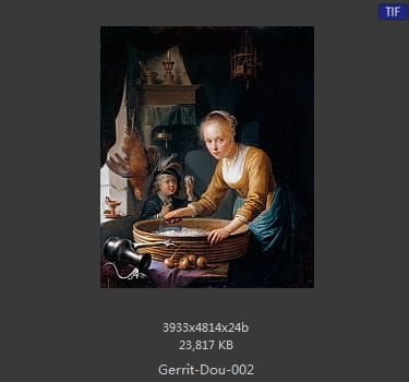 【荷兰】格利特·窦（Gerrit  Dou）