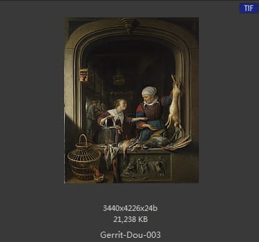 【荷兰】格利特·窦（Gerrit  Dou）