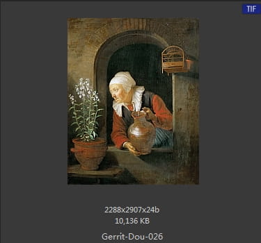 【荷兰】格利特·窦（Gerrit  Dou）