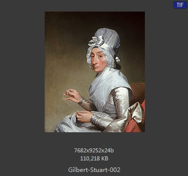 吉尔伯特·斯图尔特 Gilbert Stuart