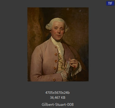 吉尔伯特·斯图尔特 Gilbert Stuart