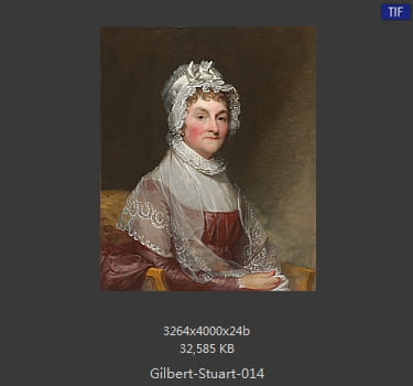 吉尔伯特·斯图尔特 Gilbert Stuart