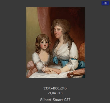 吉尔伯特·斯图尔特 Gilbert Stuart