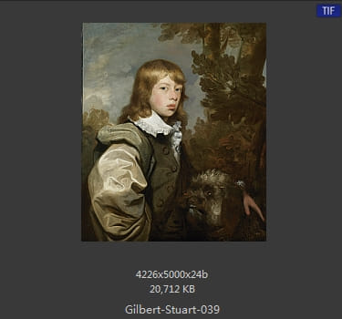 吉尔伯特·斯图尔特 Gilbert Stuart