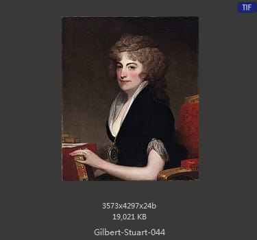 吉尔伯特·斯图尔特 Gilbert Stuart