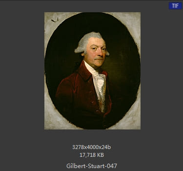 吉尔伯特·斯图尔特 Gilbert Stuart