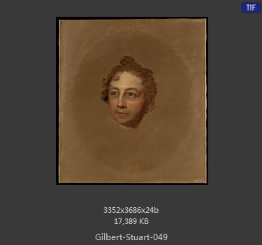 吉尔伯特·斯图尔特 Gilbert Stuart