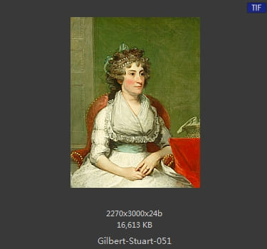 吉尔伯特·斯图尔特 Gilbert Stuart