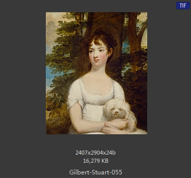 吉尔伯特·斯图尔特 Gilbert Stuart