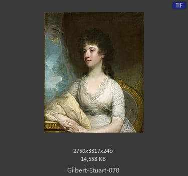 吉尔伯特·斯图尔特 Gilbert Stuart