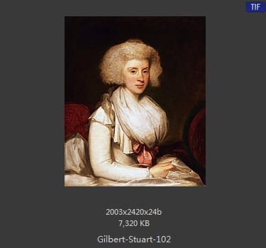 吉尔伯特·斯图尔特 Gilbert Stuart