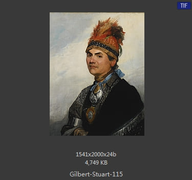 吉尔伯特·斯图尔特 Gilbert Stuart