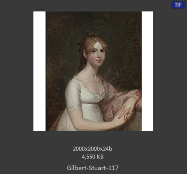 吉尔伯特·斯图尔特 Gilbert Stuart