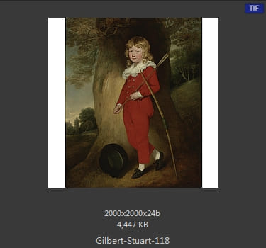 吉尔伯特·斯图尔特 Gilbert Stuart