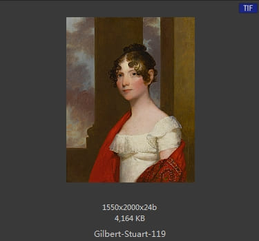 吉尔伯特·斯图尔特 Gilbert Stuart