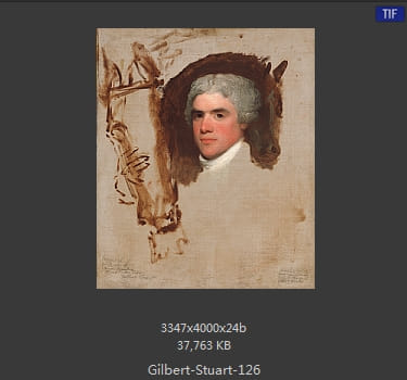 吉尔伯特·斯图尔特 Gilbert Stuart