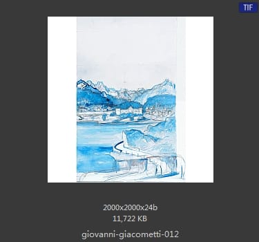 【瑞士】乔万尼·贾科梅蒂（Giovanni Giacometti）