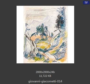 【瑞士】乔万尼·贾科梅蒂（Giovanni Giacometti）