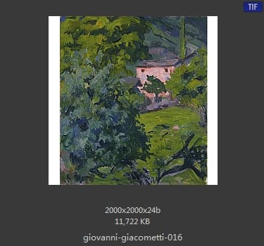 【瑞士】乔万尼·贾科梅蒂（Giovanni Giacometti）