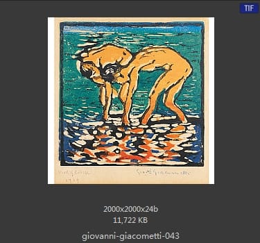 【瑞士】乔万尼·贾科梅蒂（Giovanni Giacometti）
