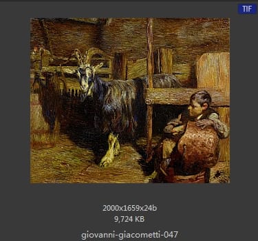 【瑞士】乔万尼·贾科梅蒂（Giovanni Giacometti）