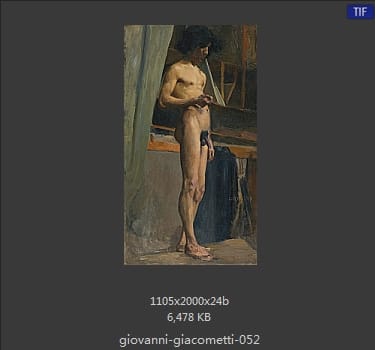 【瑞士】乔万尼·贾科梅蒂（Giovanni Giacometti）