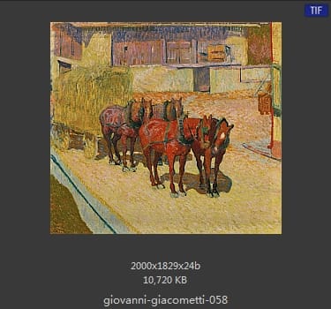 【瑞士】乔万尼·贾科梅蒂（Giovanni Giacometti）