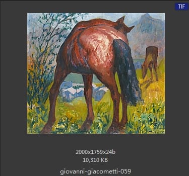 【瑞士】乔万尼·贾科梅蒂（Giovanni Giacometti）