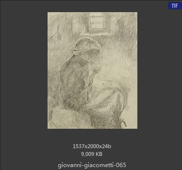 【瑞士】乔万尼·贾科梅蒂（Giovanni Giacometti）