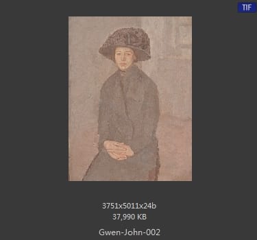 【英国】格温·约翰(Gwen John)