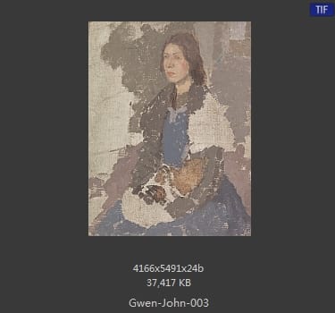 【英国】格温·约翰(Gwen John)