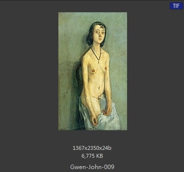 【英国】格温·约翰(Gwen John)