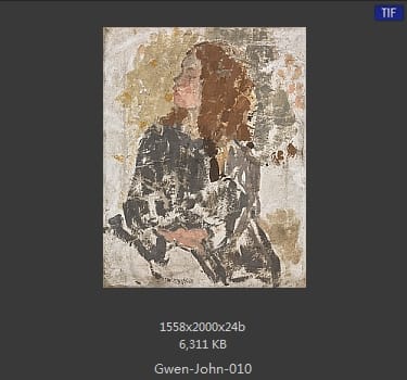 【英国】格温·约翰(Gwen John)
