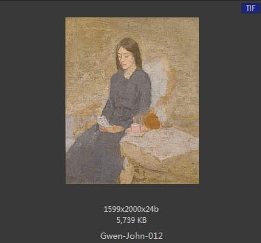 【英国】格温·约翰(Gwen John)