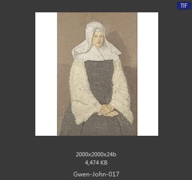 【英国】格温·约翰(Gwen John)