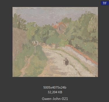 【英国】格温·约翰(Gwen John)