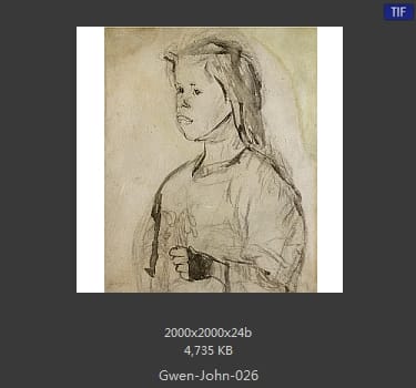 【英国】格温·约翰(Gwen John)