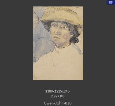 【英国】格温·约翰(Gwen John)
