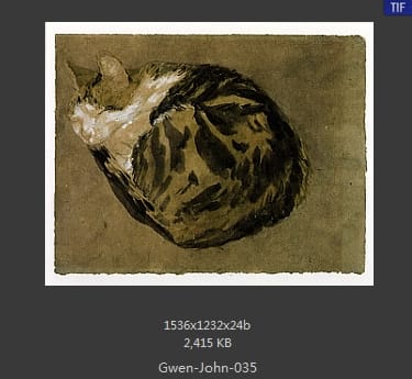 【英国】格温·约翰(Gwen John)