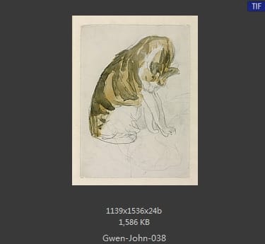 【英国】格温·约翰(Gwen John)