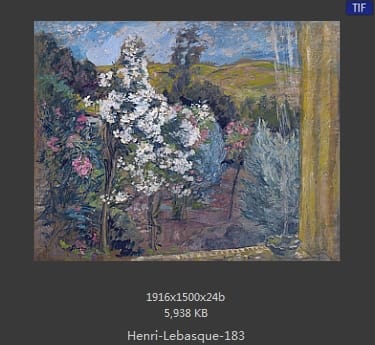 【法国】亨利·莱巴斯克（Henri Lebasque）