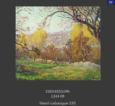 【法国】亨利·莱巴斯克（Henri Lebasque）