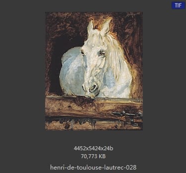 亨利·德·图卢兹·劳特雷克(Henri de Toulouse Lautrec)
