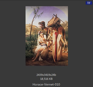 【法国】埃米尔·让·霍勒斯·韦尔内(Emile_Jean-Horace_Vernet)