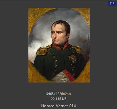 【法国】埃米尔·让·霍勒斯·韦尔内(Emile_Jean-Horace_Vernet)