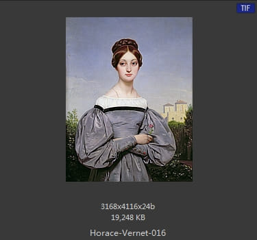 【法国】埃米尔·让·霍勒斯·韦尔内(Emile_Jean-Horace_Vernet)