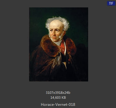 【法国】埃米尔·让·霍勒斯·韦尔内(Emile_Jean-Horace_Vernet)