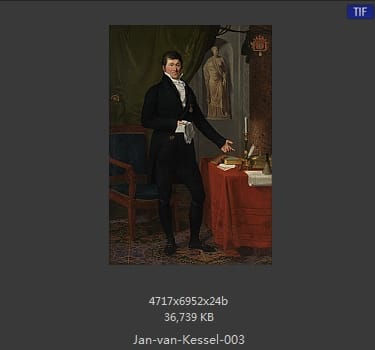 扬·梵·凯塞尔（Jan van Kessel）